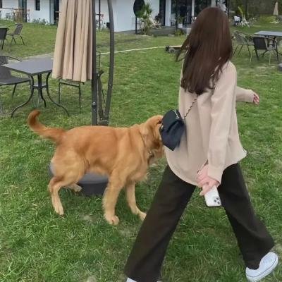 变形计第十八季